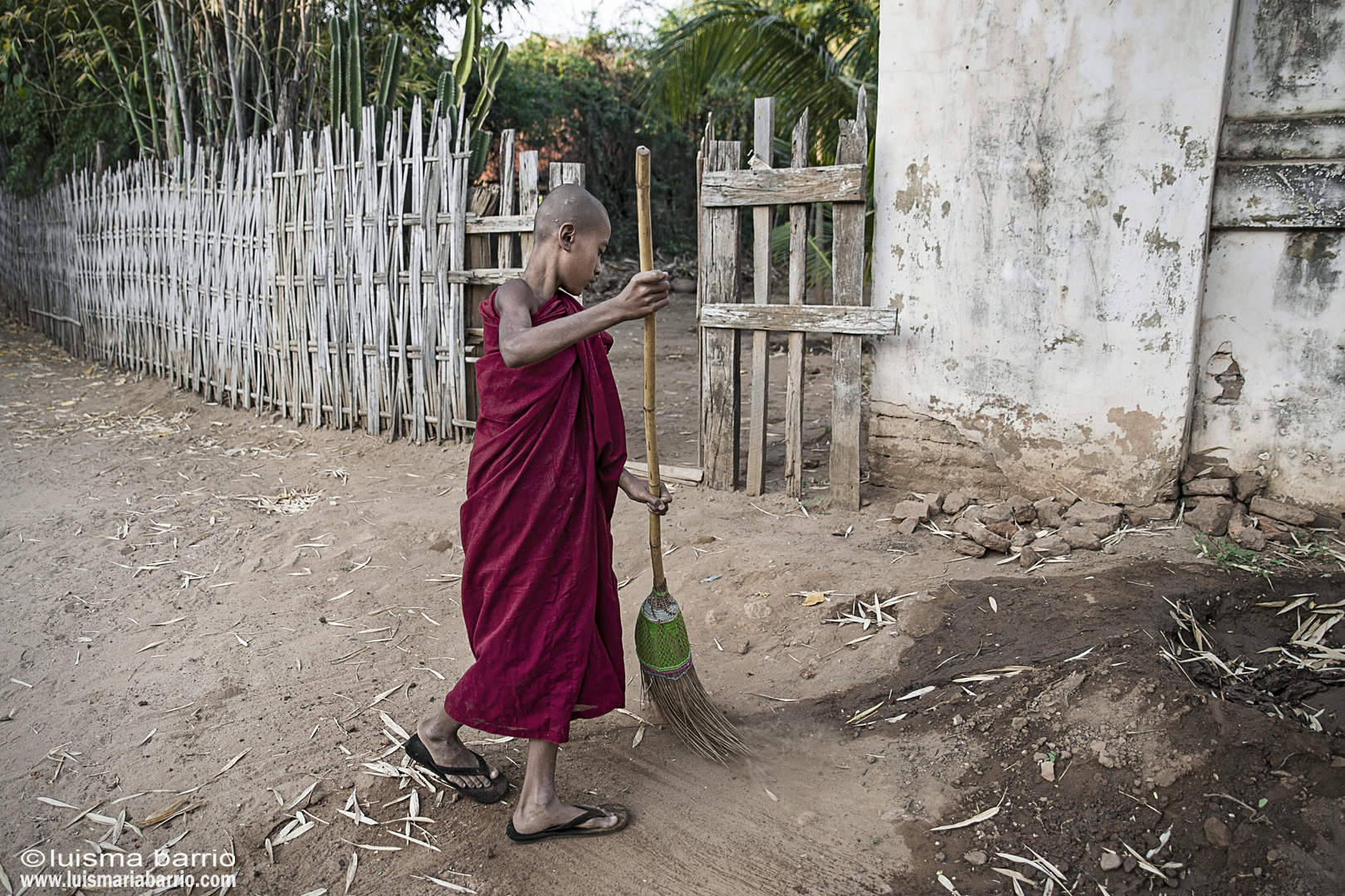  buddhist monk burma myanmar